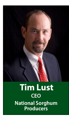 Tim Lust