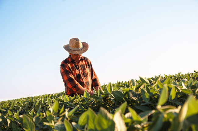 800-farmer