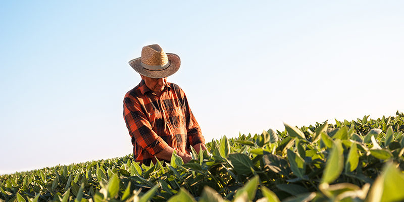 800-farmer
