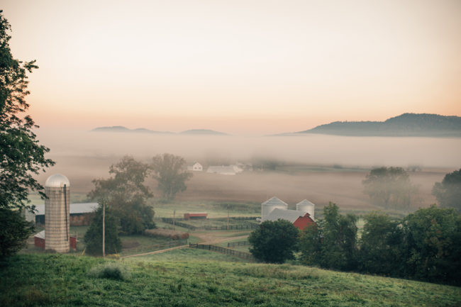 farmscene