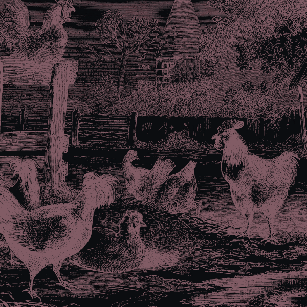 2018_Q1_FPF_OldMcDonald_FeatureImage_v1