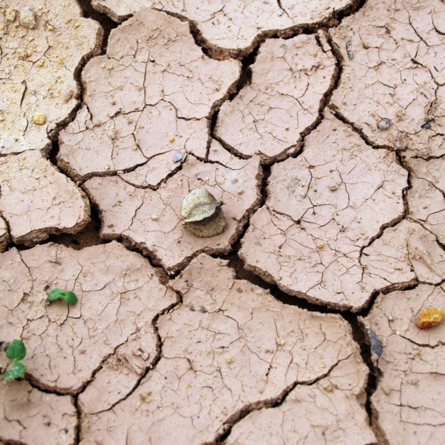 arid-barren-clay-216692