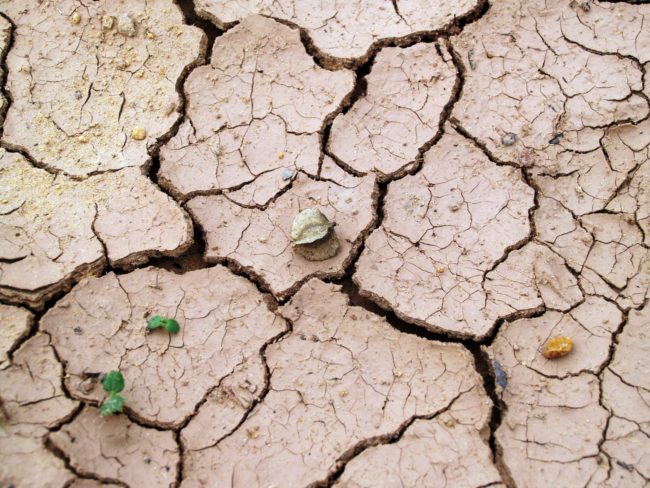 arid-barren-clay-216692