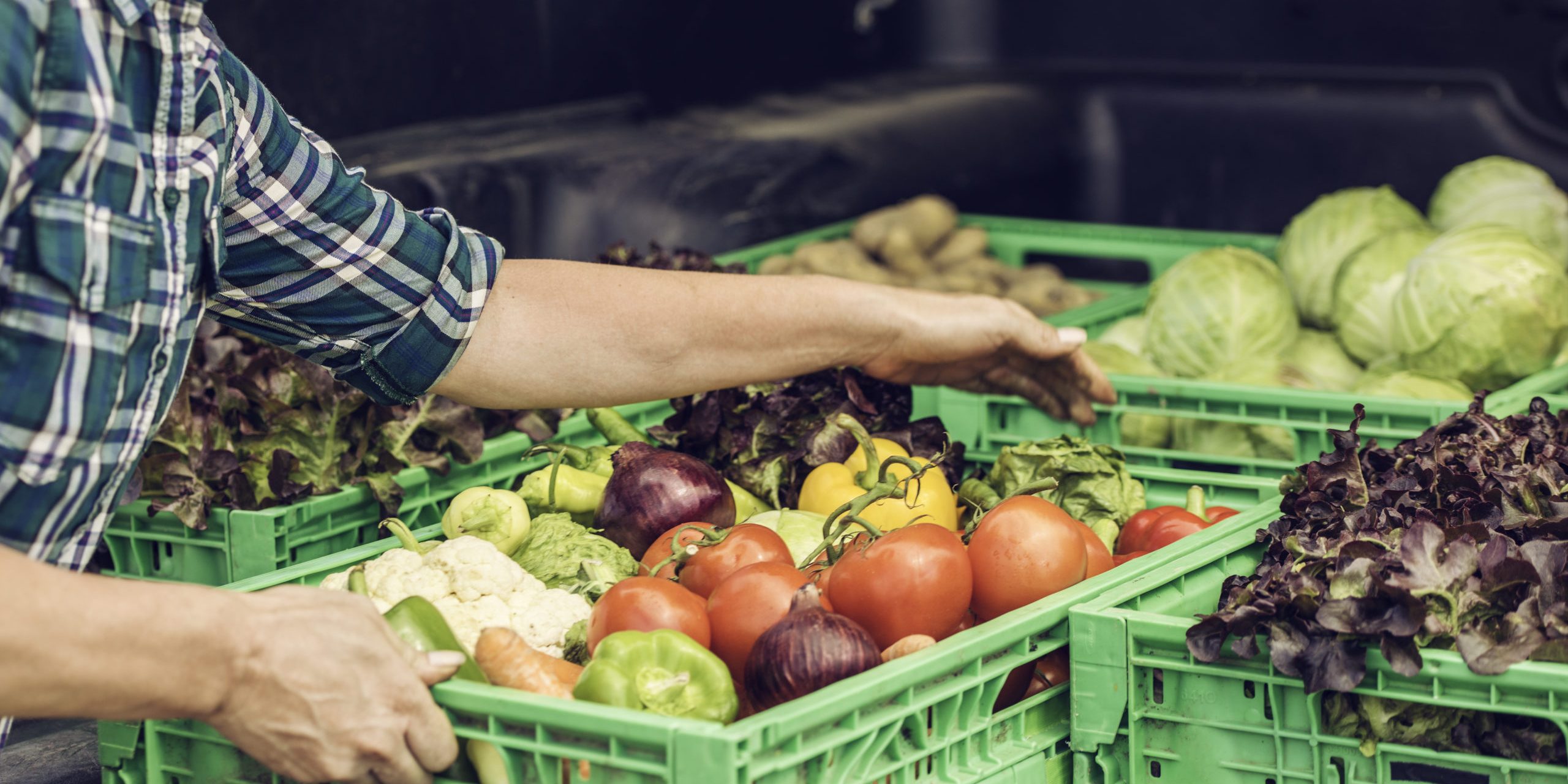 Crates of fresh vegetables