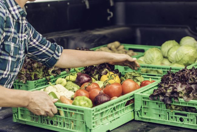 Crates of fresh vegetables