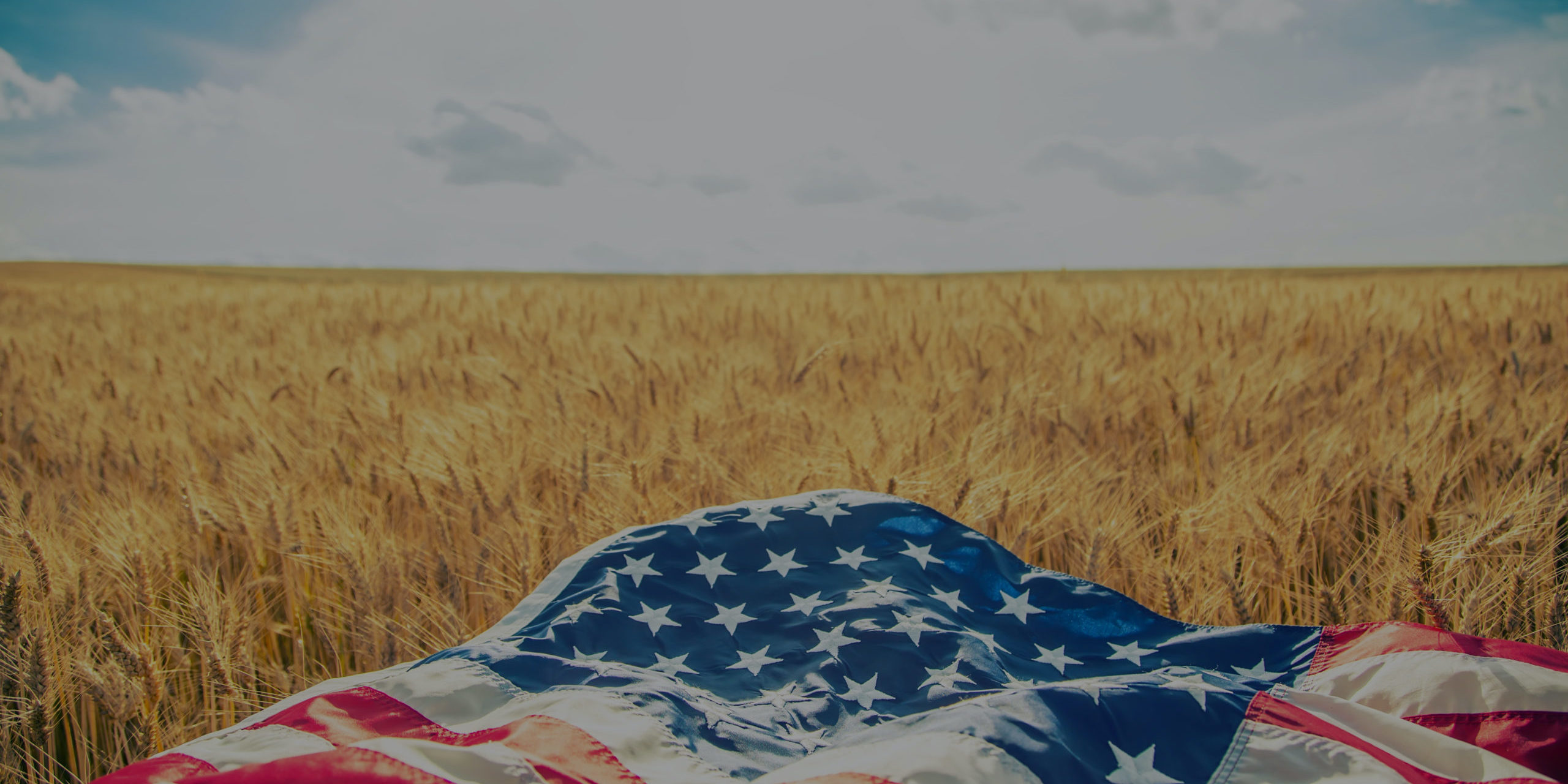 USA American flag lies on the golden wheat field.