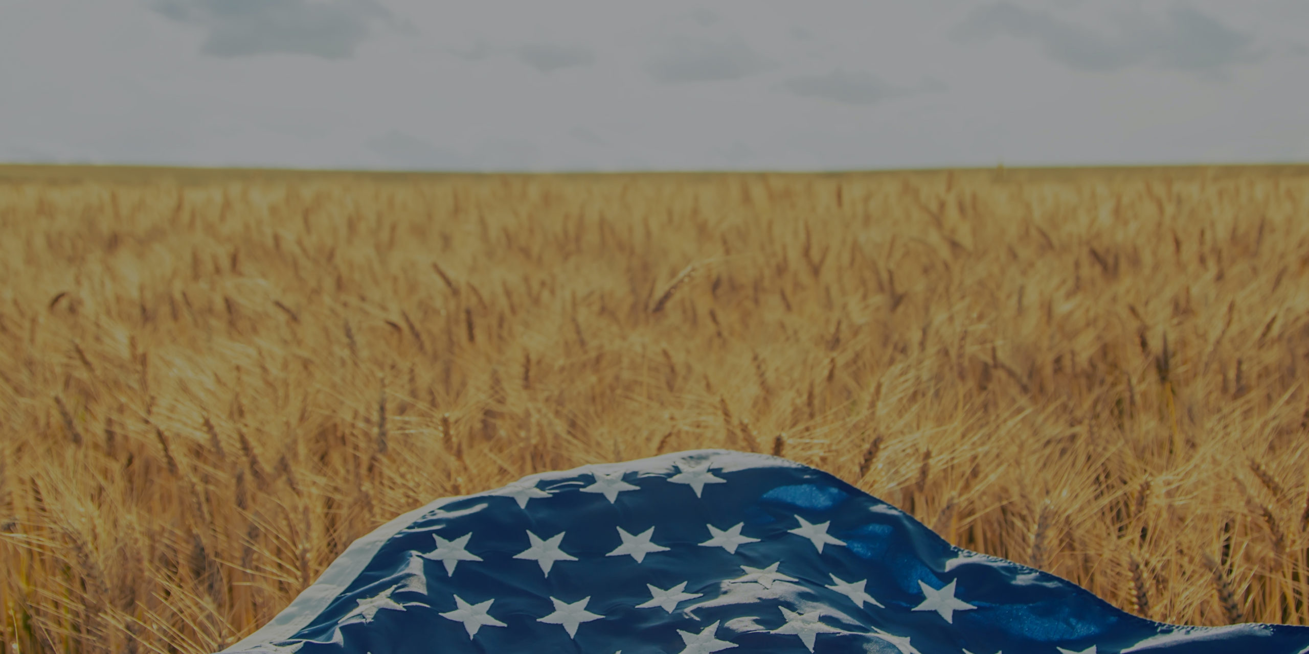USA American flag lies on the golden wheat field.