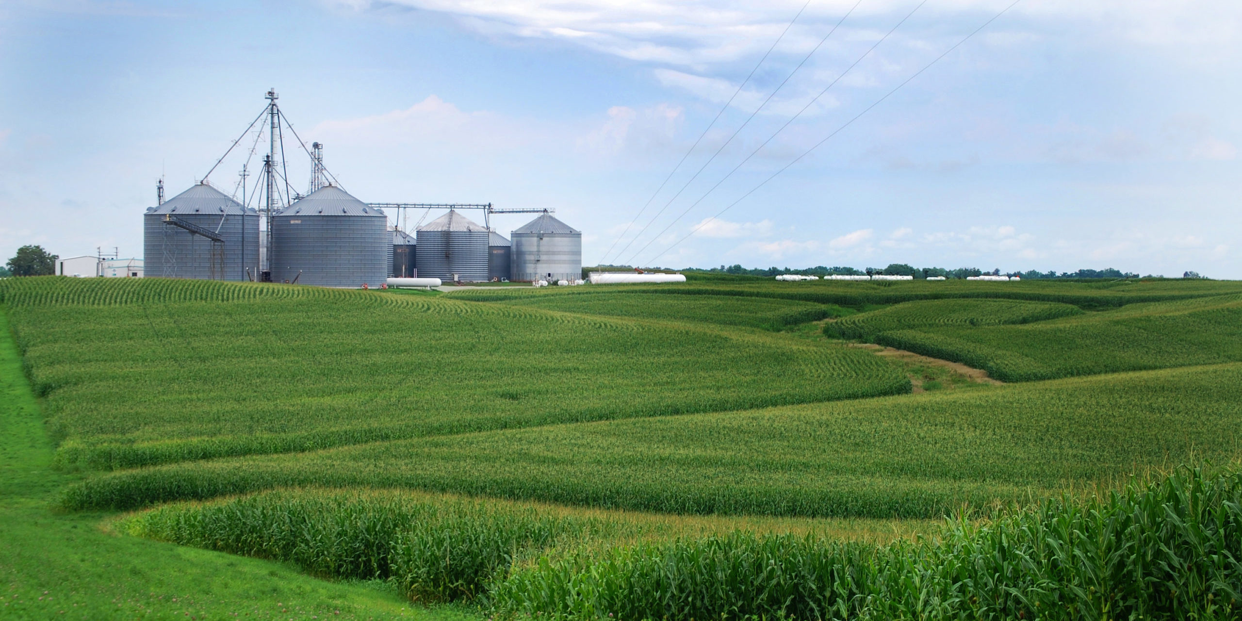 Farm