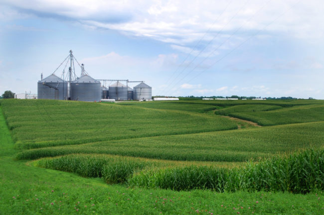 Farm