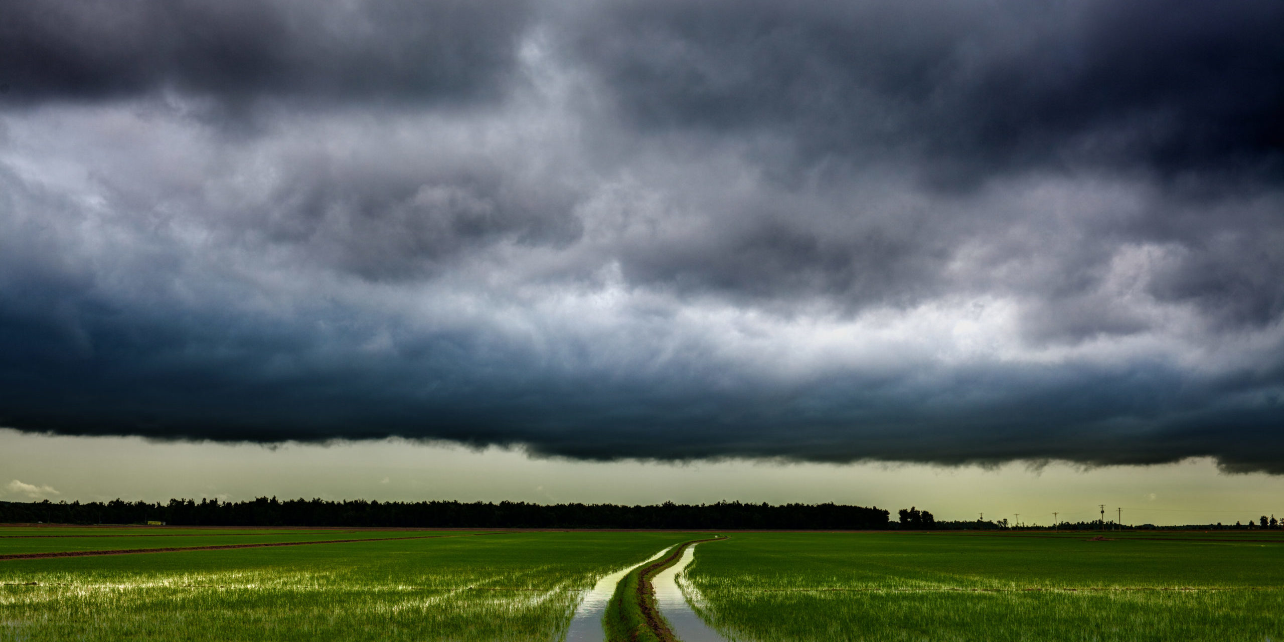 Storm over Rice Field